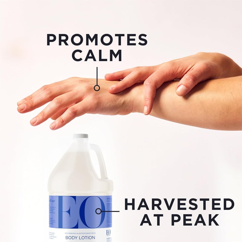 EO Body Lotion Refill - 1 Gallon of Calming French Lavender with Organic Plant-Based Ingredients - Image 3