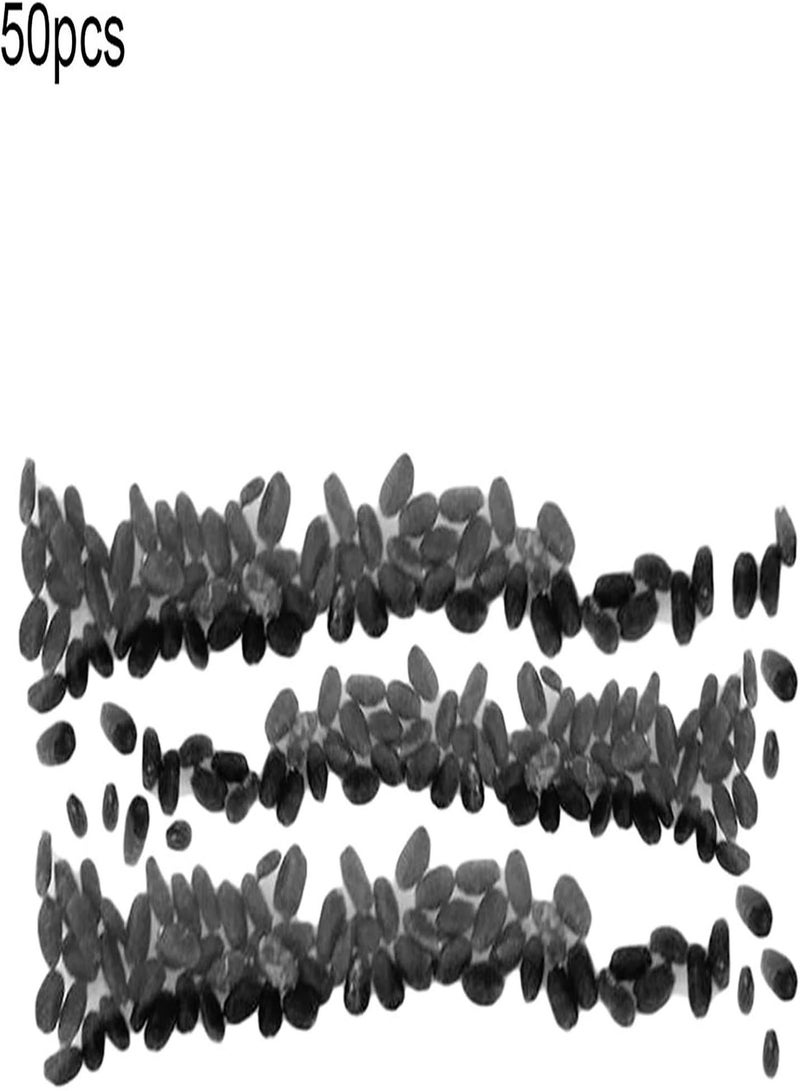 GGOOT 50 Pcs/Bag Dionaea Muscipula Non GMO Easy to Plant Water-Saving Decorative Mini Garden Dionaea Muscipula for Yard Dionaea Muscipula Seeds - Image 5