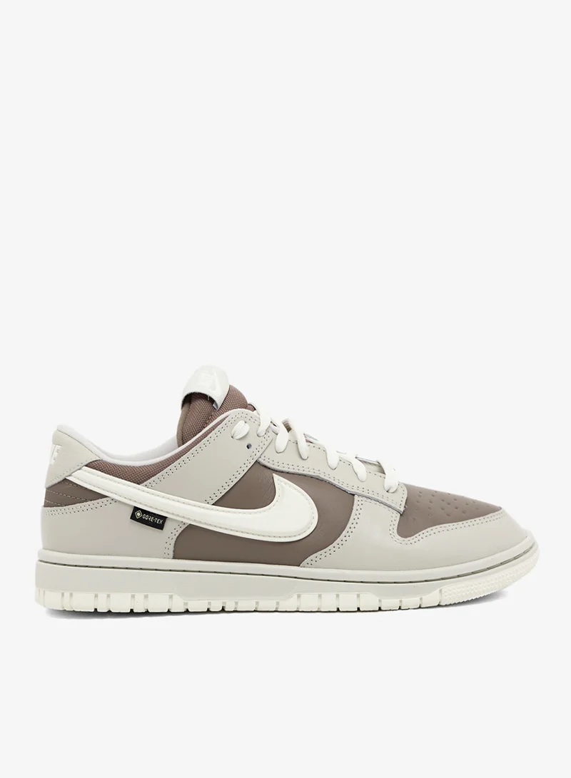 Nike Dunk Low Gtx