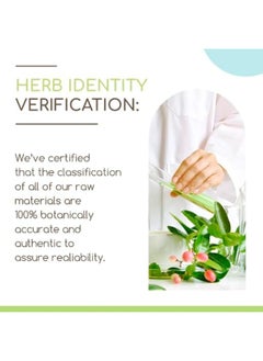 HerbEra Andrographis B60 Alcohol-Free Herbal Extract Tincture, made with Organic Andrographis (Fah talai jone, Chuan Xin Lian, Andrographis paniculata) Dried Herb (2 fl oz)  - Image 2