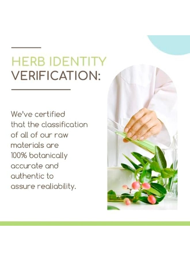 HerbEra Andrographis B60 Alcohol-Free Herbal Extract Tincture, made with Organic Andrographis (Fah talai jone, Chuan Xin Lian, Andrographis paniculata) Dried Herb (2 fl oz)  - Image 2