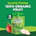 GoGo squeeZ No Sugar Added Organic Applesauce and Fruit Puree Apple Apple 32 oz Pouches Pack of 12 Fruit Snacks for Kids Gluten Free Nut Free Recloseable Cap BPA Free - Image 4