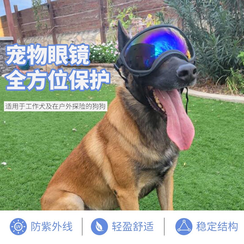 Pet Glasses, Medium And Large Dog Goggles, Windproof And Uv-Proof, Cool For Small Dogs With Po Glasses - Image 2