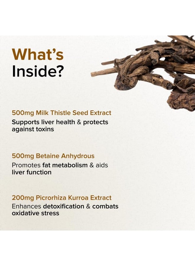 GNC دعم الكبد من جي إن سي هيربال بلس | 500 ملغ من حليب الشوك، 500 ملغ من بيتاين و 200 ملغ من مستخلص بيكروهيزا | 60 كبسولة نباتية | يعزز صحة الكبد، إزالة السموم، والأيض | تركيبة عالية الفعالية - Image 4