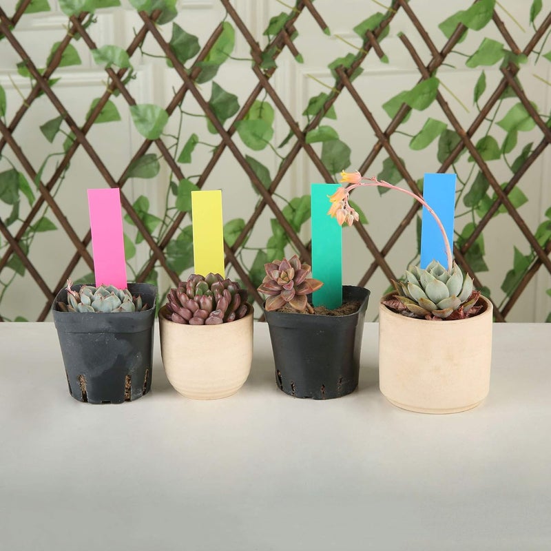 Mihey 1000 Pcs 4 Inch Plastic Garden Plant Tags Nursery Garden Labels Markers Plant Stakes Waterproof Pot Labels, 5 Colors - Image 5