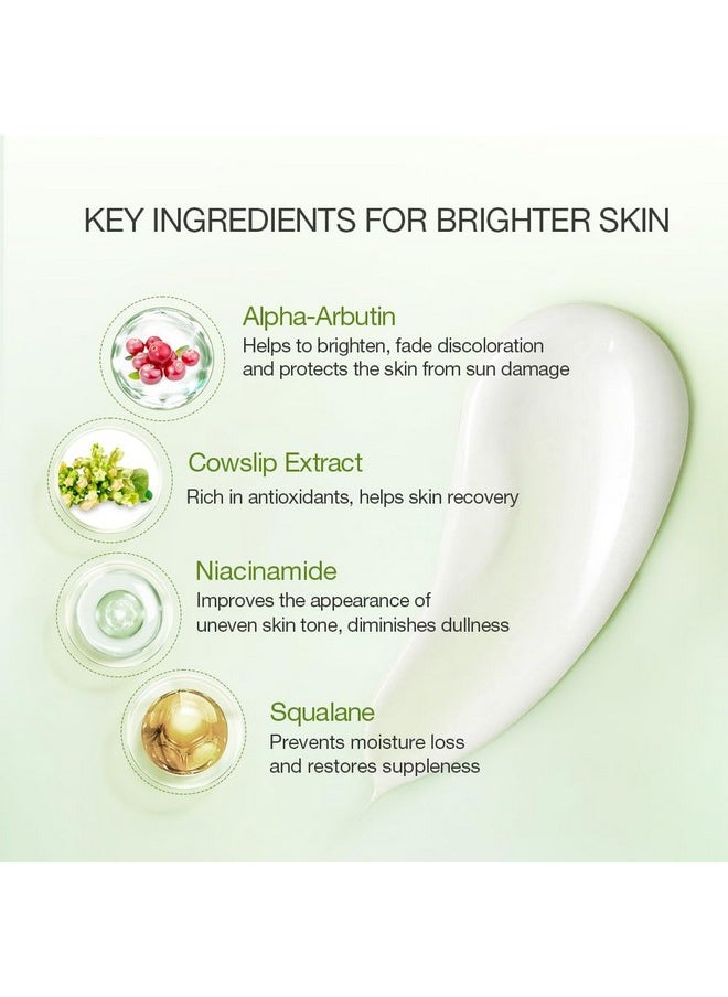 Aloderma Aloderma Brightening Facial Cream - Made with 69% Organic Aloe Vera - Natural Skin Brightening Squalane & Niacinamide for Flawless Complexion, 1.7oz  - Image 3