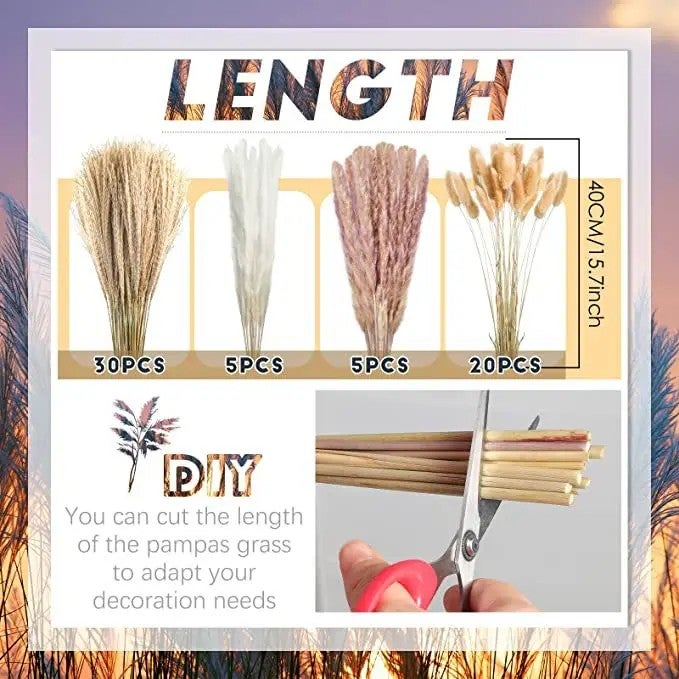 Bluejw Boho Pampas Grass Bouquet - Natural Dried Flowers Phragmites for Wedding Home Decor & Dried Plants Arrangement - Image 5