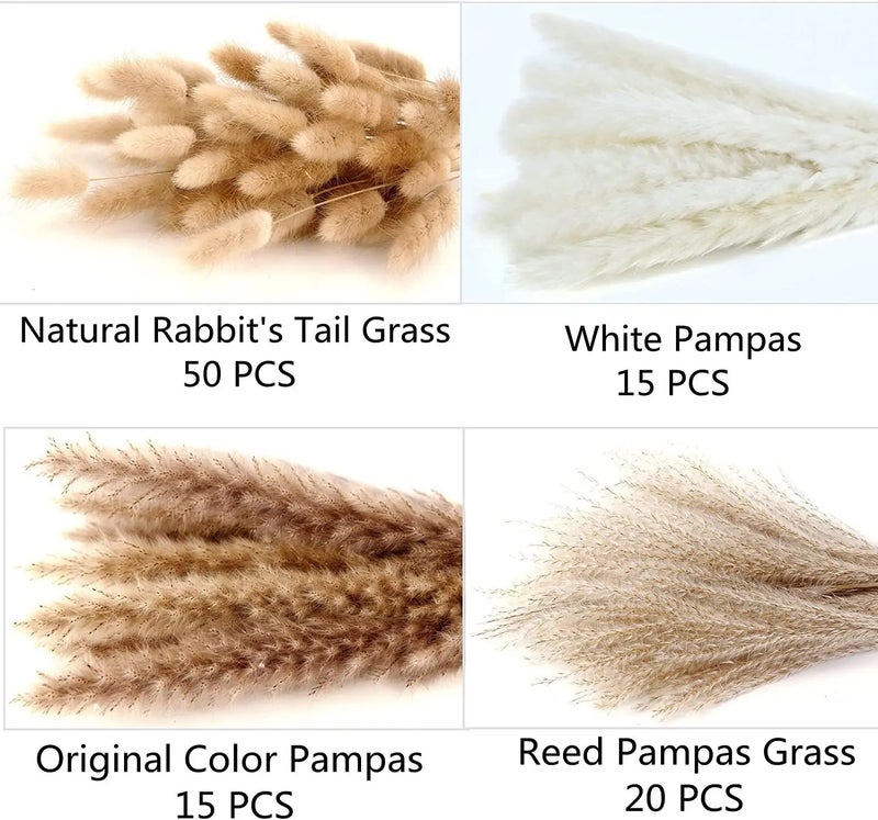 Bluejw Boho Pampas Grass Bouquet - Natural Dried Flowers Phragmites for Wedding Home Decor & Dried Plants Arrangement - Image 1