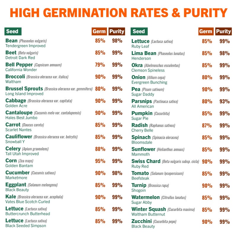 Open Seed Vault 15,000 Heirloom Plant Seeds for Gardening Vegetables and Fruits - Survival Seeds Kit with 30 Varieties - Organic, Non-GMO Survival Seed Pack for Home Gardening and Emergency Supplies - Image 3