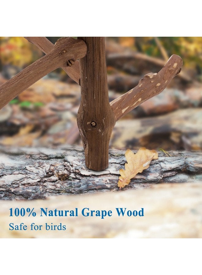 كوزي كابين حامل طيور طبيعي من CozyCabin، حامل معلق متعدد الفروع على شكل شجرة العنب، قفص طيور، ألعاب للطيور الصغيرة، الببغاوات، الكونيور، الببغاوات، الكوكتيلات، طيور الحب (الفرع) - Image 3