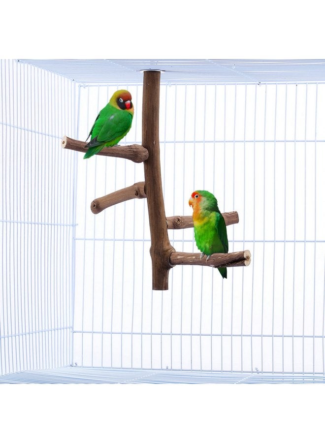 كوزي كابين حامل طيور طبيعي من CozyCabin، حامل معلق متعدد الفروع على شكل شجرة العنب، قفص طيور، ألعاب للطيور الصغيرة، الببغاوات، الكونيور، الببغاوات، الكوكتيلات، طيور الحب (الفرع) - Image 2