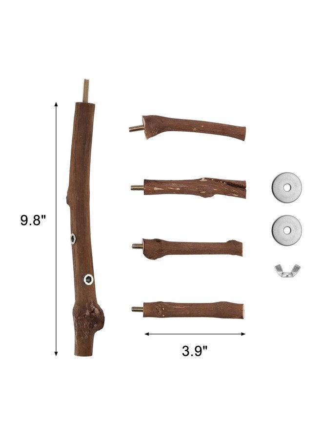 كوزي كابين حامل طيور طبيعي من CozyCabin، حامل معلق متعدد الفروع على شكل شجرة العنب، قفص طيور، ألعاب للطيور الصغيرة، الببغاوات، الكونيور، الببغاوات، الكوكتيلات، طيور الحب (الفرع) - Image 5