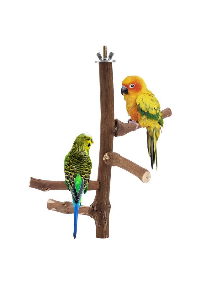 كوزي كابين حامل طيور طبيعي من CozyCabin، حامل معلق متعدد الفروع على شكل شجرة العنب، قفص طيور، ألعاب للطيور الصغيرة، الببغاوات، الكونيور، الببغاوات، الكوكتيلات، طيور الحب (الفرع) - Image 1
