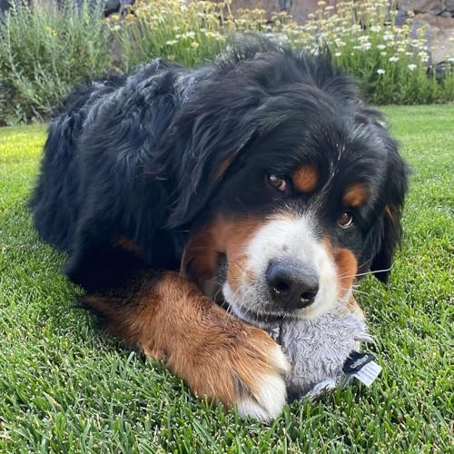 Spunky pup Hippo with Ball Squeaker Dog Toy | Cuddle Crinkle Crunching Sound and Squeaky Dog Toys | Nylon Reinforced Plush Toy | Toss Fetch and Play | Furry Friends Collection | For All Size Breeds - Image 2
