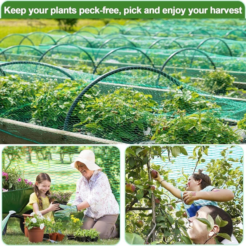 Proxima Direct 4x10 m Garden Netting Green Anti Bird Protection Net Mesh Protect Seedlings Plants Flowers Fruit Trees Vegetables from Rodents Birds Deer Reusable Fencing - Image 5