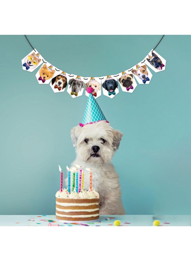 WOBBOX Dog Birthday Decoration Bunting Banner, Dog Birthday Accessories Decoration (Design 7) - Image 5