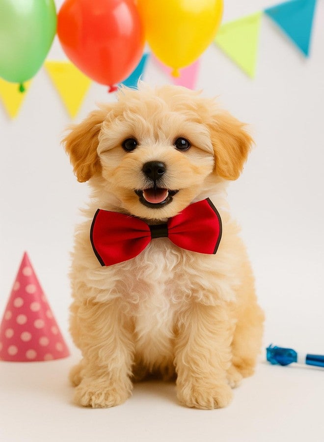 Gojira/Pets/Dogs/Cats Adjustable Fashion Party, Function, Weeding Cum Formal Costume Neck Bow Tie Cum Necktie-(for Puppies) (Red & Black) - Image 2