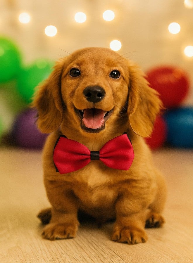 Gojira/Pets/Dogs/Cats Adjustable Fashion Party, Function, Weeding Cum Formal Costume Neck Bow Tie Cum Necktie-(for Puppies) (Red & Black) - Image 4