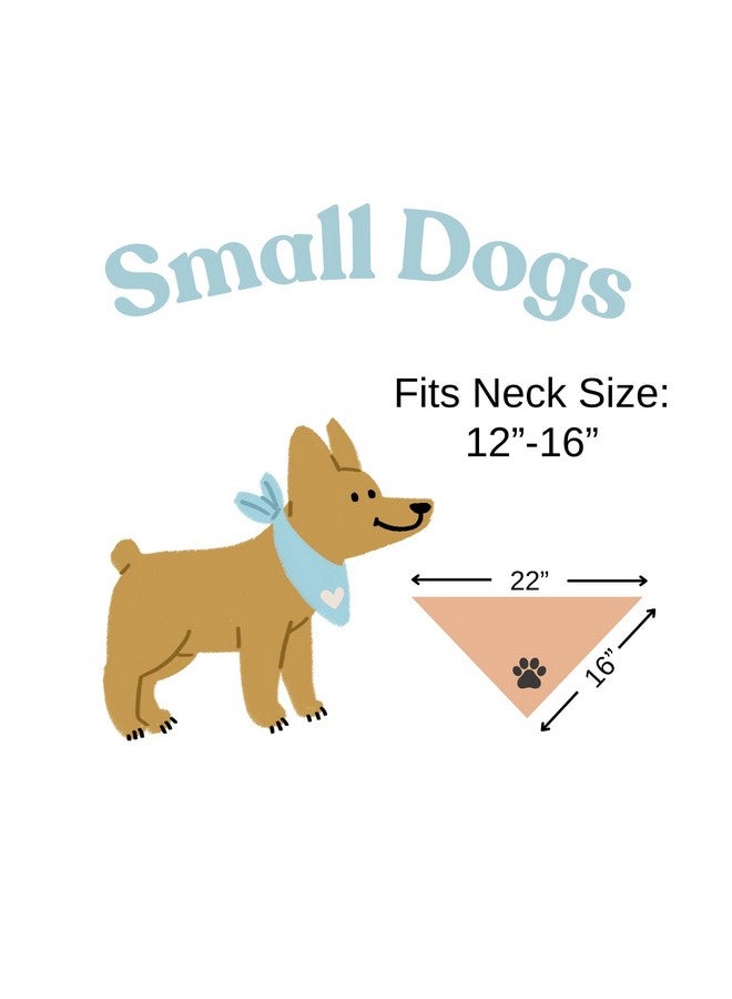 My Human Graduated! Dog Bandana Minimal Cream Beige Graduation (Medium) - Image 5