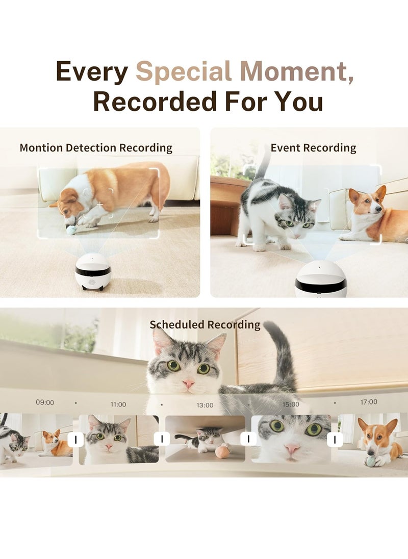 Enabot® ROLA Mini 2K Camera Robot: Moving Pet Camera, Up to 25 Days Battery Life, Built-in Call Button, Two-Way Audio. [Full Pack Loaded + !2 Months International Warranty]