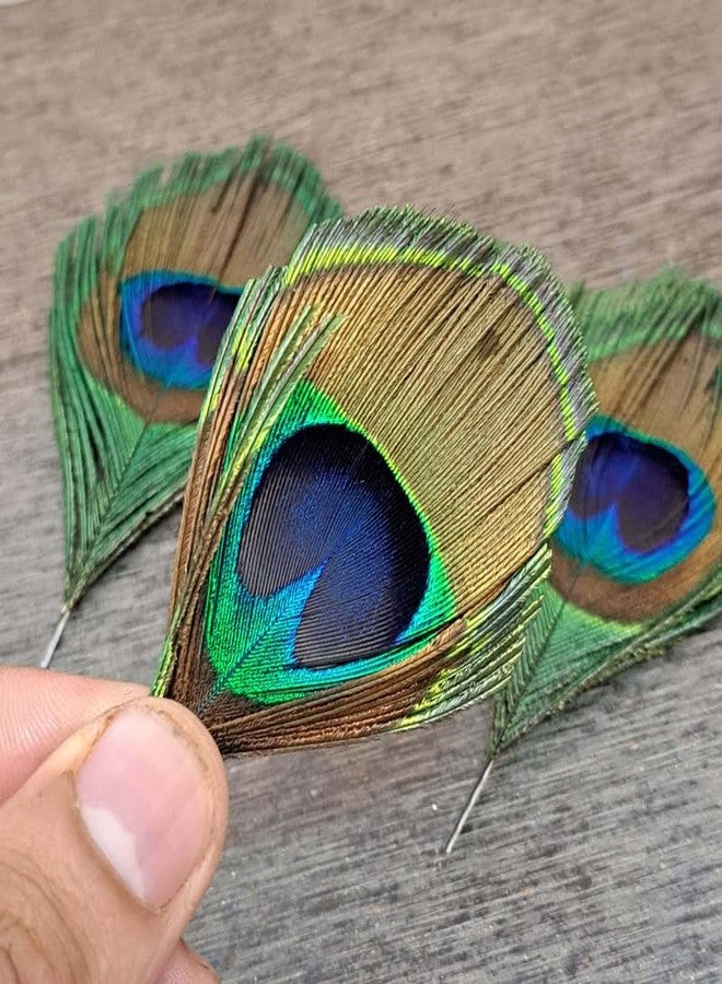 meryCraft Natural Size-8 CM Peacock Feather | Mor Pankh | Real Peacock | Feather for Home Decor | Good Luck Art and Craft & Worship | Pack of 6 - Image 2