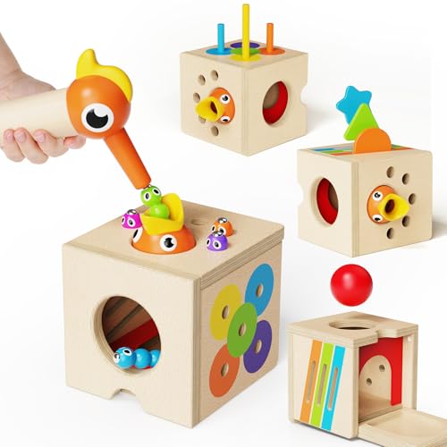 Takeeyce 5in1 Wooden Activity Cube Toddlers Montessori Toys for Baby Boys Girls Baby Activity Center for 2 Year Old Woodpecker Worm Toy Magnetic Bird Feeding Game Educational Color Shape Sorting Toy - Image 1