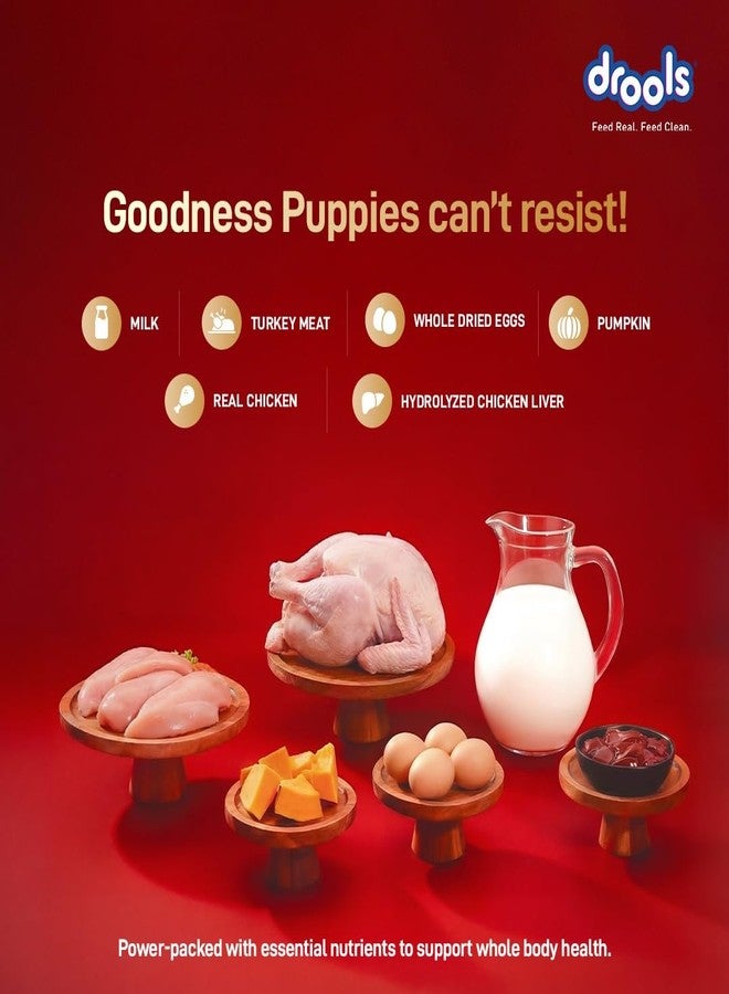 Drools Puppy Dry Dog Food 1kg | Meat and Milk Flavour | Supports Healthy Brain Development and Cognitive Function | Antioxidants | Chelated Minerals | Better Bioavailability of Minerals - Image 4