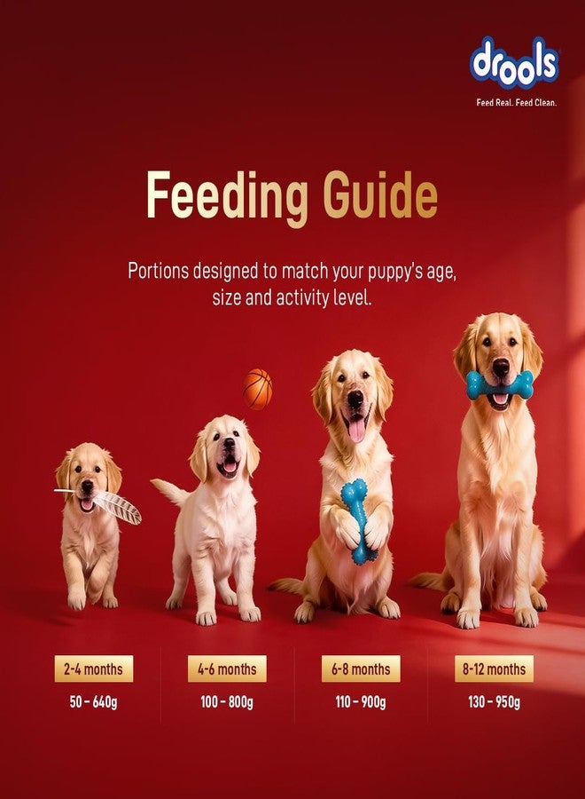 Drools Puppy Dry Dog Food 1kg | Meat and Milk Flavour | Supports Healthy Brain Development and Cognitive Function | Antioxidants | Chelated Minerals | Better Bioavailability of Minerals - Image 5