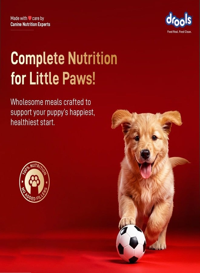 Drools Puppy Dry Dog Food 1kg | Meat and Milk Flavour | Supports Healthy Brain Development and Cognitive Function | Antioxidants | Chelated Minerals | Better Bioavailability of Minerals - Image 2
