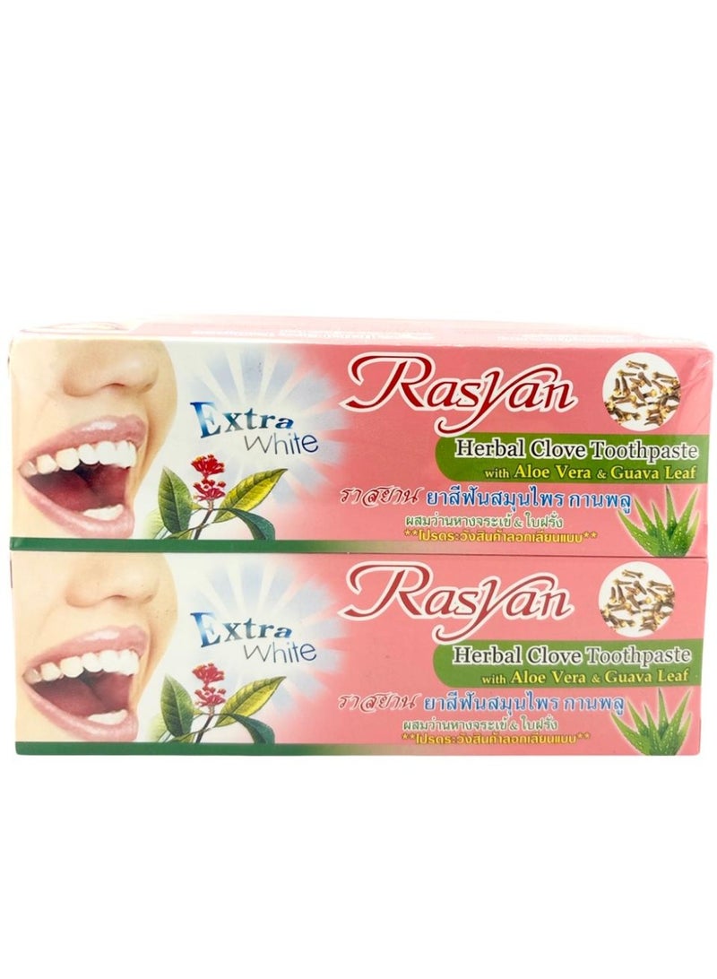 RASYAN herbal CLOVE TOOTHPAST 100gm x 2pcs - Image 1