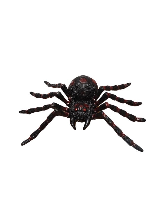 1-Piece Wild Spider – Halloween Decorations - Image 1