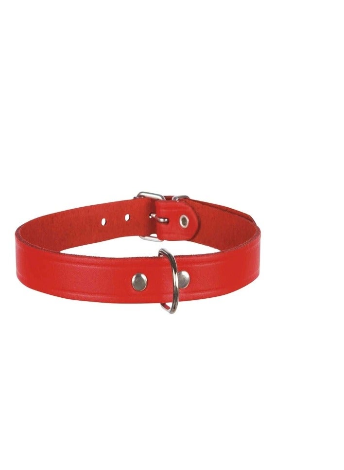 Trixie Basic Red Leather Collar For Dogs - Image 2