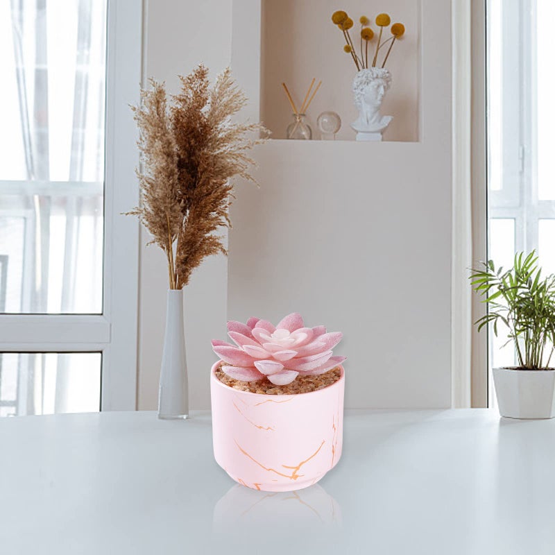 ZENIDA Succulent Artificial Plants Cute Fake Succulents in 1 Pink Ceramic Pots Small Fake Plants for Office Table Desk Bathroom  Bedroom Aesthetic Room Shelves Decor Desk Decorations for Women Office - Image 3