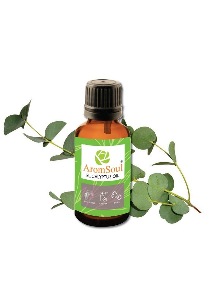 Aromsoul Aromsoul Eucalyptus oil 30 ML | Pure & Natural  - Image 3