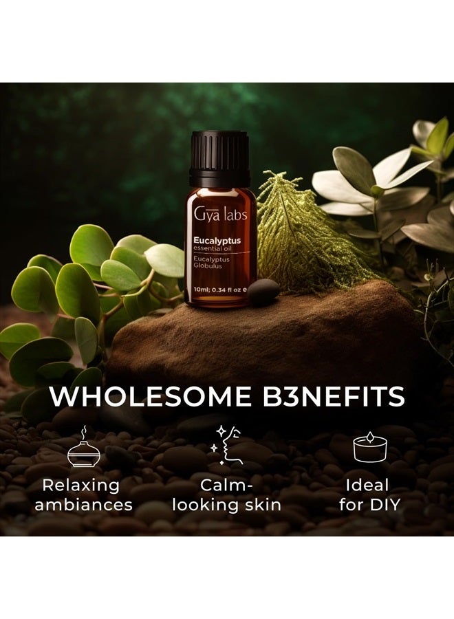 gya labs زيت الأوكالبتوس العطري للناشر - رائحة طبيعية، منعشة، مهدئة - زيت الأوكالبتوس العطري للعلاج بالروائح، المرطب، البشرة - 100% طبيعي (0.34 أونصة سائلة) - Image 5