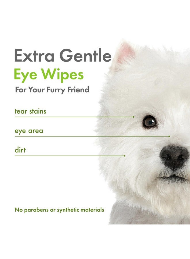 بيتكين مناديل عيون بيتكين النباتية، 80 منديل، عبوة من قطعتين - مناديل عيون مستدامة وقائمة على أساس حيوي للحيوانات الأليفة للكلاب والقطط - تنظف منطقة العين والأوساخ وبقع الدموع - تنظف وترطب بوعي - سهلة الاستخدام - بدون رائحة - Image 3