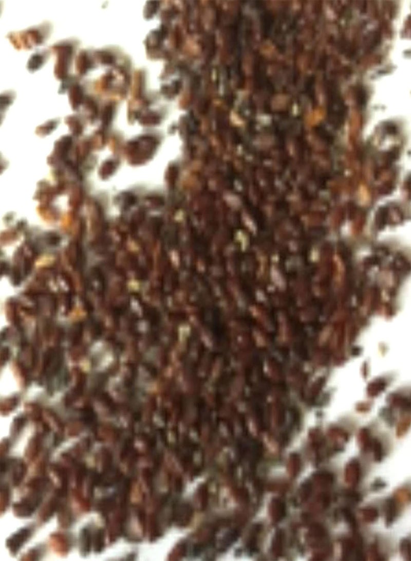 جي جوت 30 قطعة من بذور توليب، مزدهرة طبيعيًا، متعددة الألوان، بذور بونساي براقة للحديقة، بذور بونساي للشرفة - Image 5