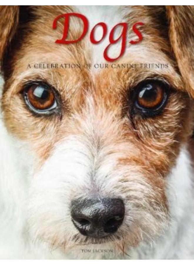 Dogs : A Celebration of our Canine Friends