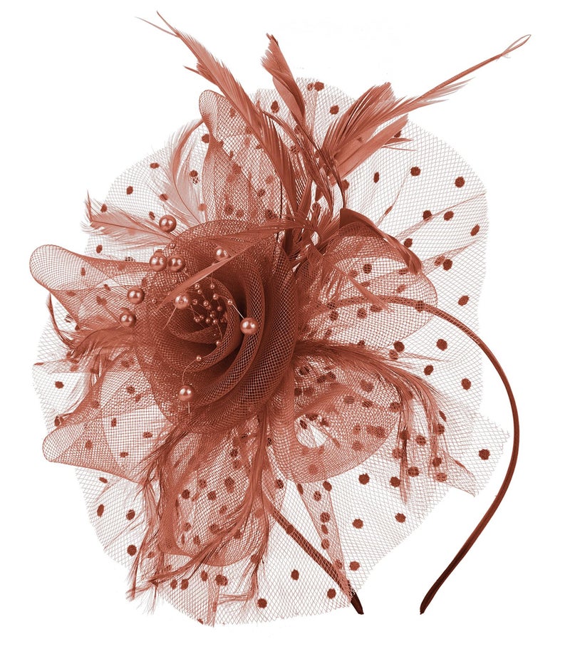 Cizoe Fascinators Hat for Women Tea Party Headband Kentucky Derby Wedding Flower Cocktail Mesh Feathers Hair Clip(1-Coffee) - Image 1
