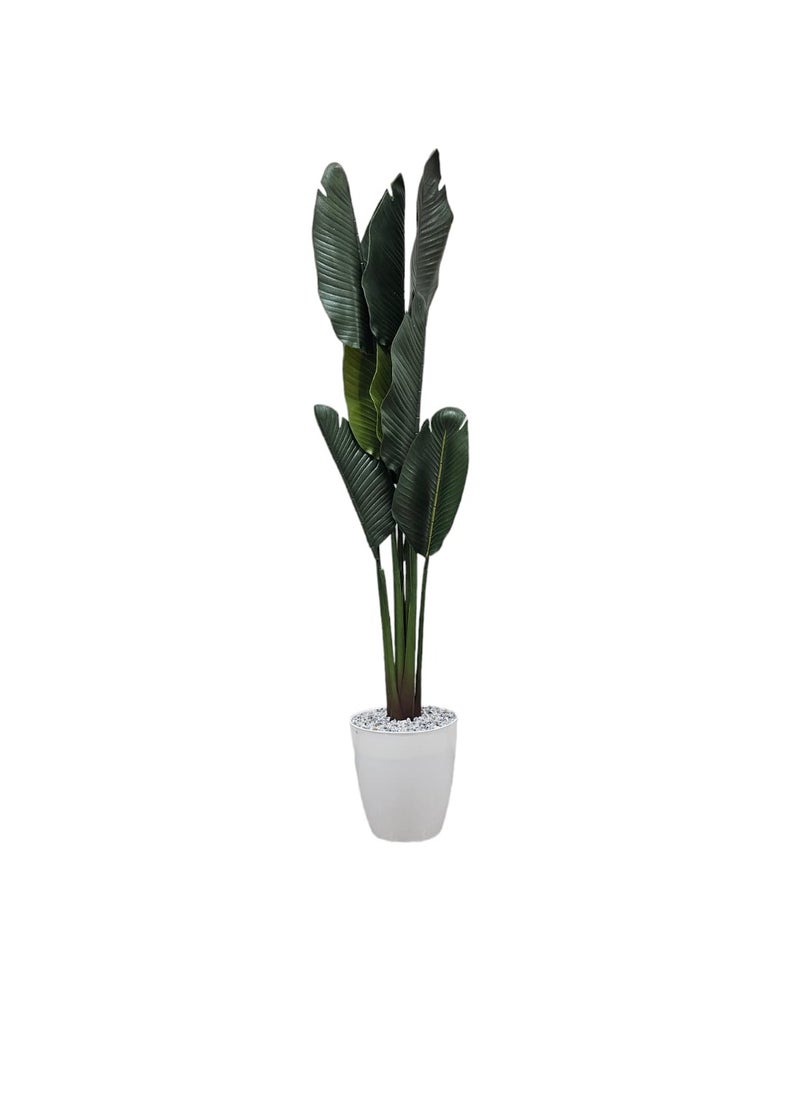 Artificial decorative plant tree with pot, 160 cm - pzsku/ZCC12A34E9EAD3F3997C7Z/45/_/1722617152/056afb68-b4c0-40bf-af5e-75970dc1a364