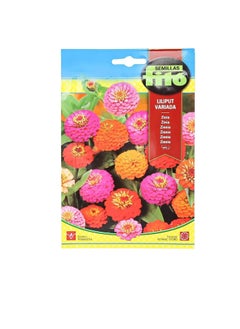 Fito SEMILLAS FITO ZINNIA - LILIPUT VARIADA  - Image 3