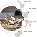 EOIVSH 18PCS Arctic Animal Figures Realistic Polar Animal Toys Figurines for Kids Toddlers Plastic Ocean Sea Creatures Figures with Arctic Fox Wolf Snowy Owl Polar Bear Reindeer Bluga Whale - Image 4