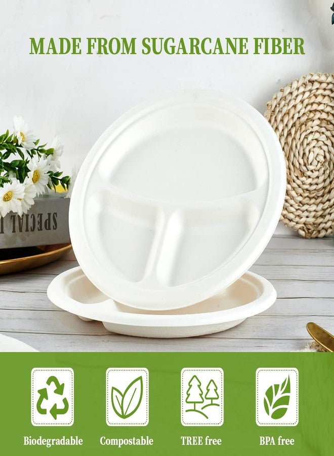 ECOLipak Compostable Disposable 3 Compartment Paper Plates, 10 inch, White - Image 5