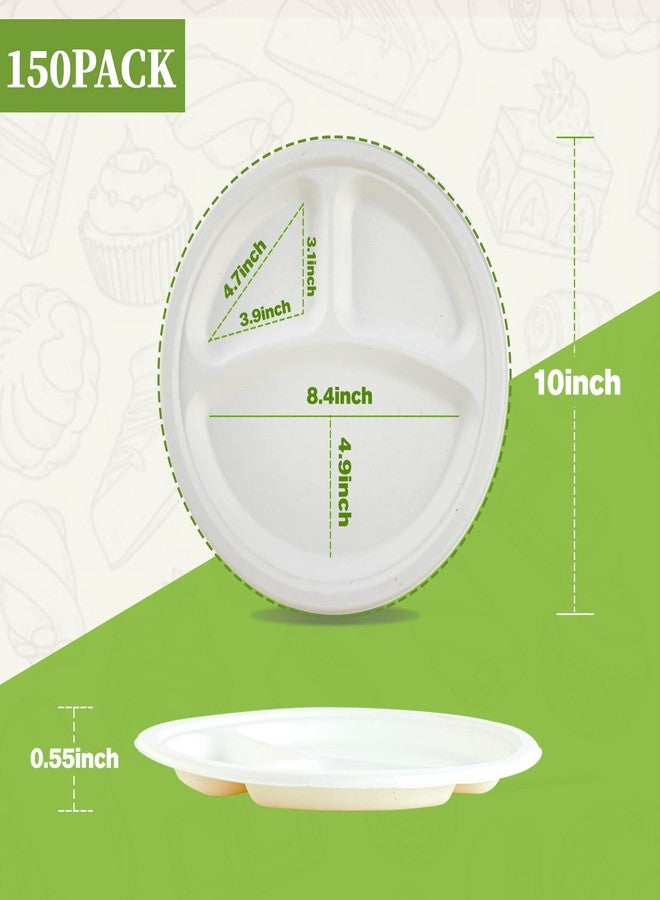 ECOLipak Compostable Disposable 3 Compartment Paper Plates, 10 inch, White - Image 2