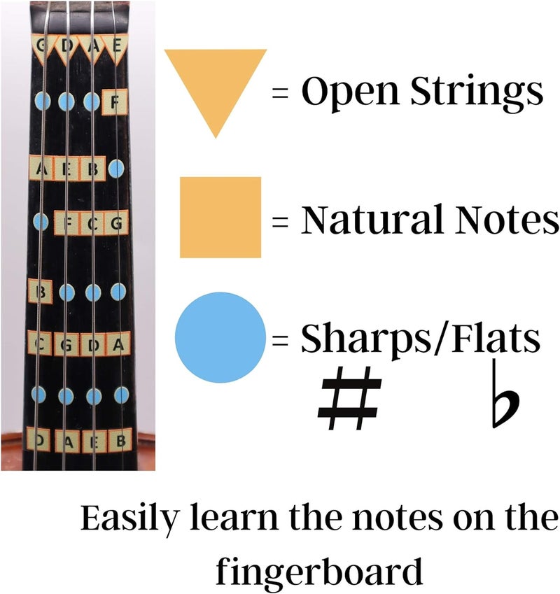 FFG NOTE THE DIFFERENCE Fantastic Finger Guide for Violins Kids/Adult Beginner | Stringed Musical Instruments | Fingerboard and Fretboard Stickers for Learning All Notes | Play or Fiddle (1/4) - Image 4