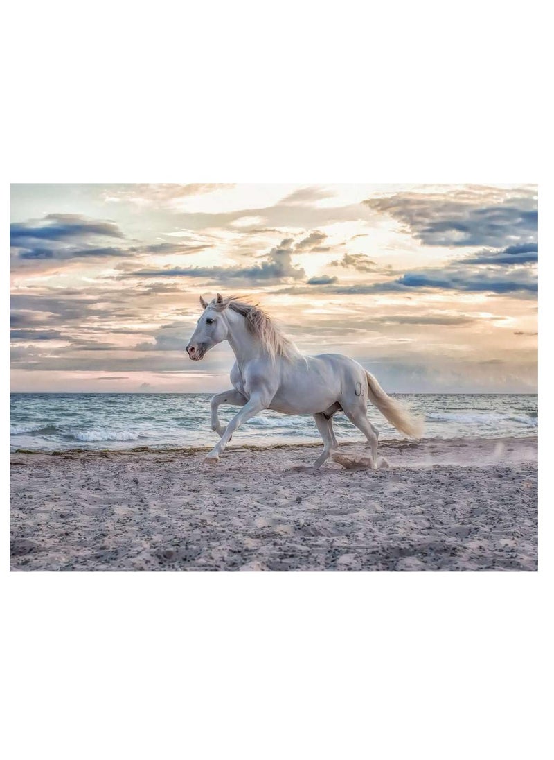 Ravensburger Ravensburger Evening Gallop Puzzle White Horse - 500 Pcs - No:16586  - Image 2