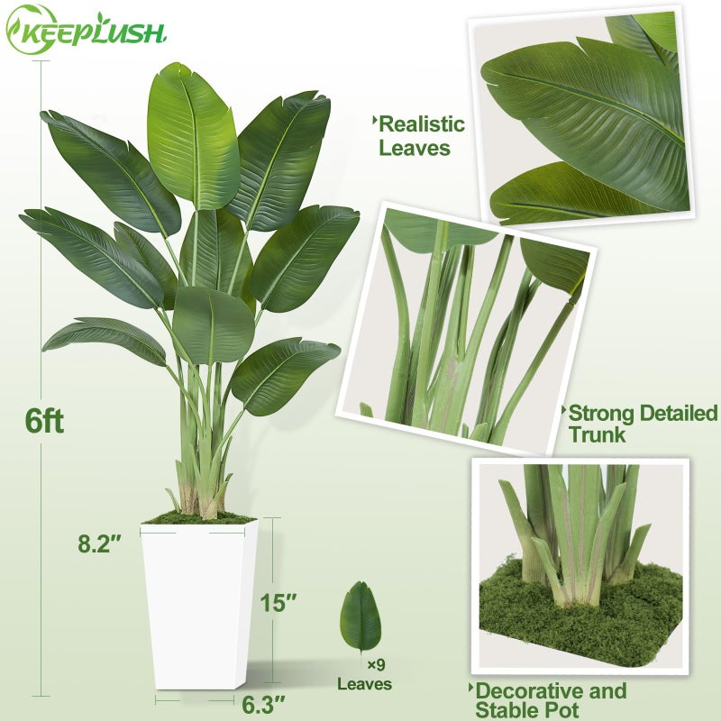 Keeplush Lifelike Bird of Paradise Artificial Plant 6ft Faux Banana Leaf Tree with White Tall Planter for Home Decor - Perfect Indoor Silk Floor Plant for Living Room, Office, and Bedroom Ambiance Enhancement - Image 3