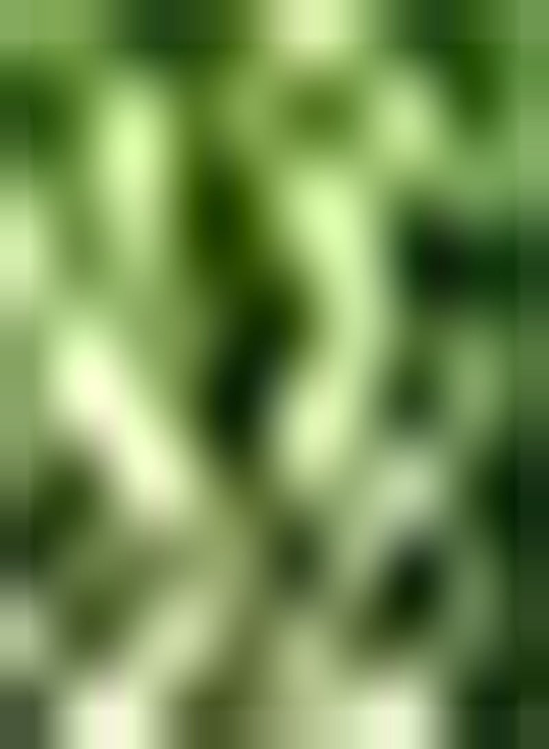 GGOOT 30pcs Groene Bittere Kalebas Zaden Eenjarige Groente Lage Kosten Gemakkelijk Onderhoud Patio Tuin Werf Beplanting Brengt Gevoel Van Prestatie Unieke Look - Image 1