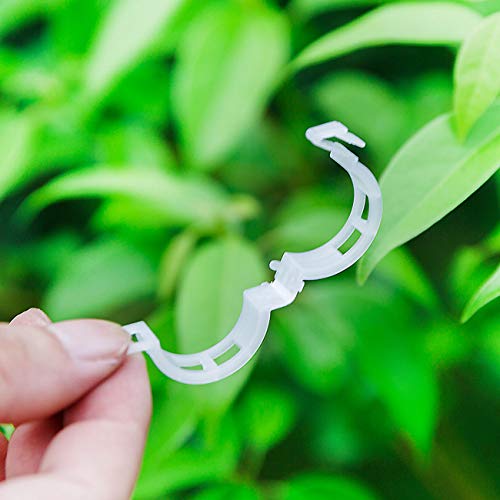 Acronde 200PCS Plant Support Clips, Tomato Crop Vine Fixing Clips for Fixation of Tomato, Sweet Pepper, Eggplant, and Fruit Vegetables - Image 4
