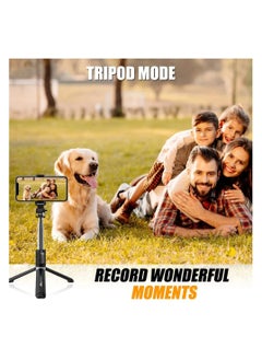 P170S  Extendable Selfie Stick Tripod with Wireless Remote -Detachable Mobile Holder, Adjustable, Compatible for All Smartphone - expandable up to 103 CM - pzsku/ZCC1AAA1223A2BDC25A72Z/45/_/1730195567/8abe909d-274a-4094-b747-b5f06ceb6061